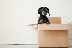 How-to-Hire-a-Moving-Company