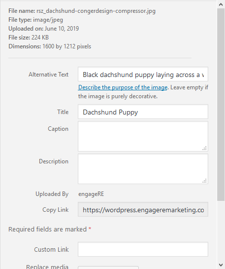 The side section of the WordPress attachment details screen, showing a closer look at the alternative text and title